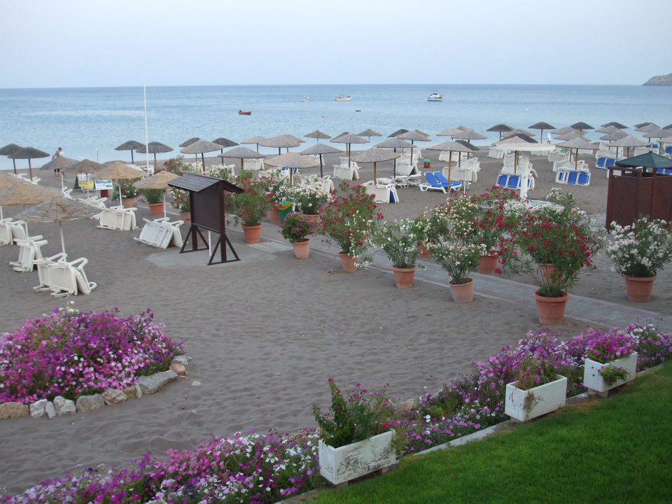 Bild 1 Hotel Calypso Beach