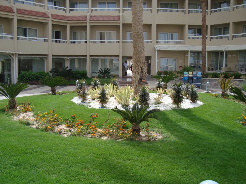 Gartenanlage Beach Albatros Resort