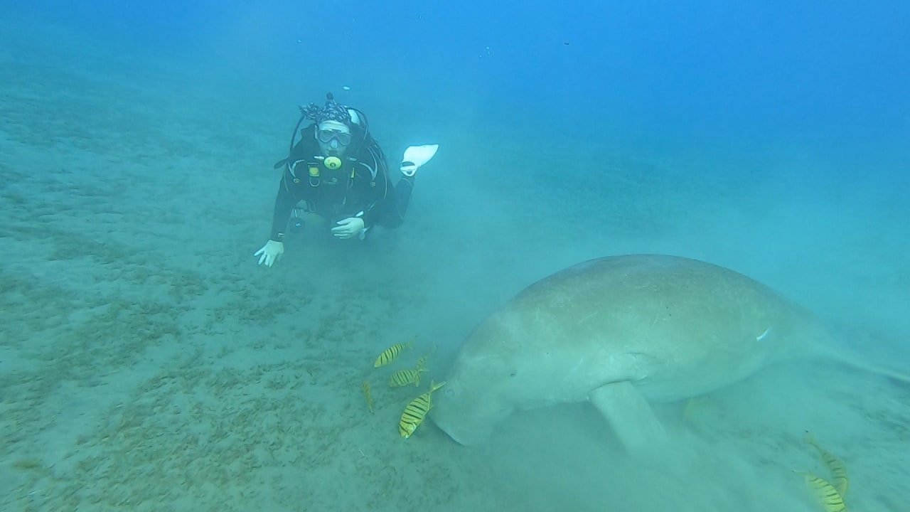 Sport & Freizeit Three Corners Equinox Beach Resort