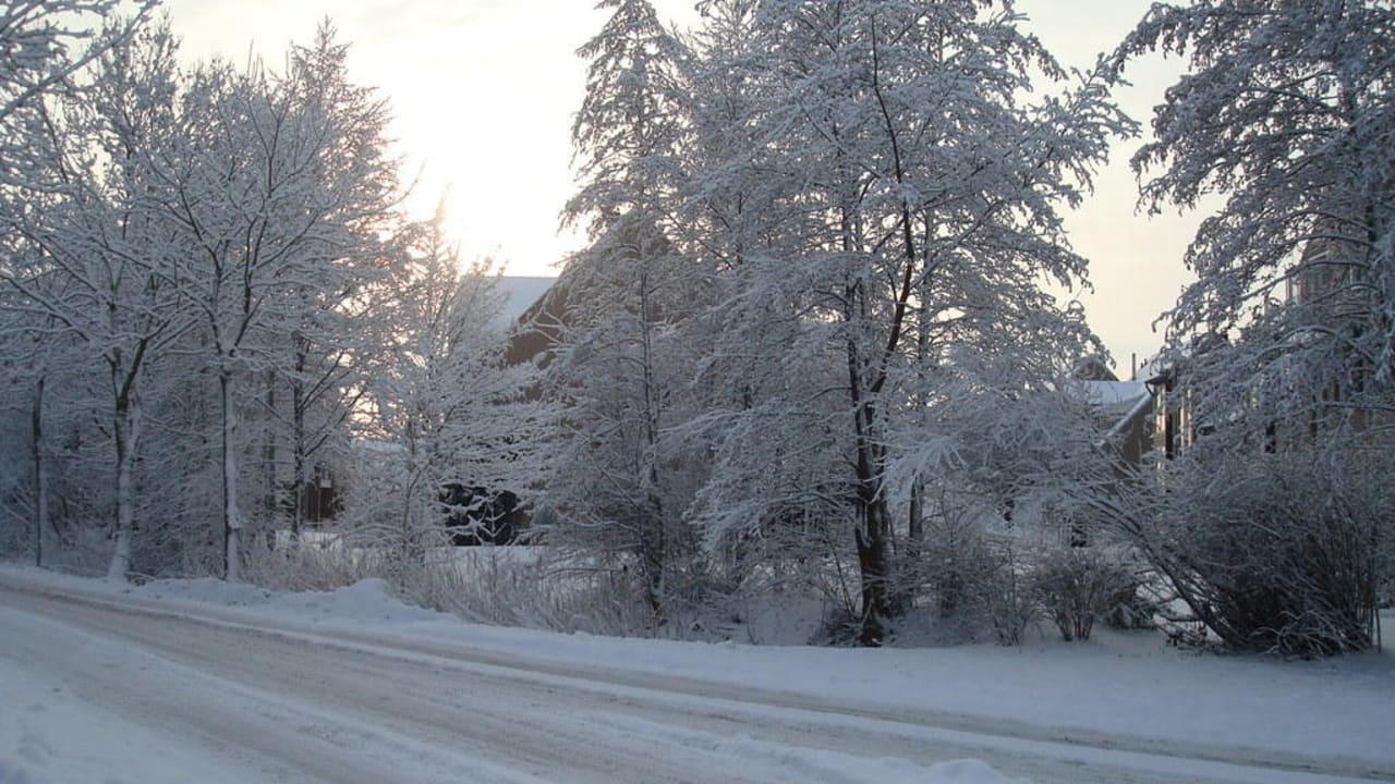 Landschaft vor der Tür Center Parcs Park Nordseeküste