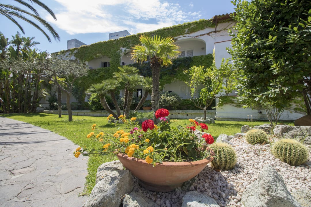 Gartenanlage Hotel Terme Royal Palm