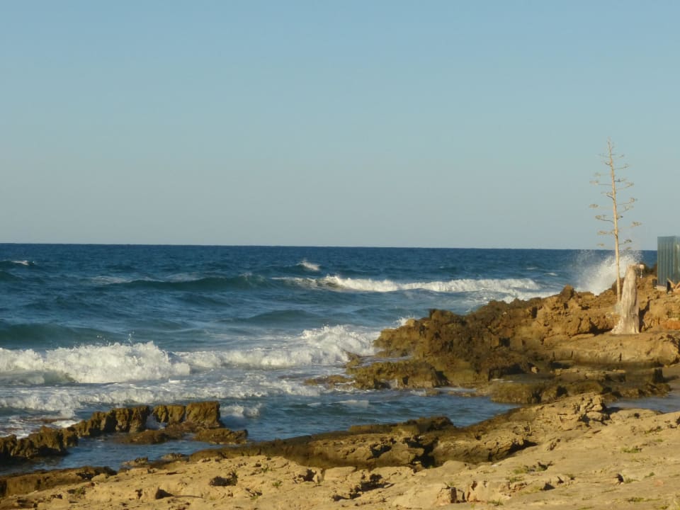 Blick zum Meer Sentido Kyknos Beach Adults Only 16+