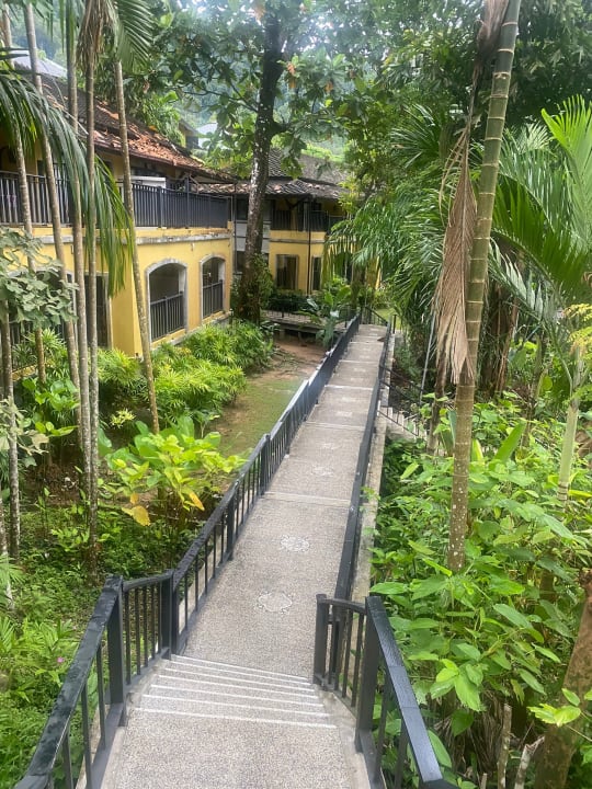 Gartenanlage Moracea by Khao Lak Resort