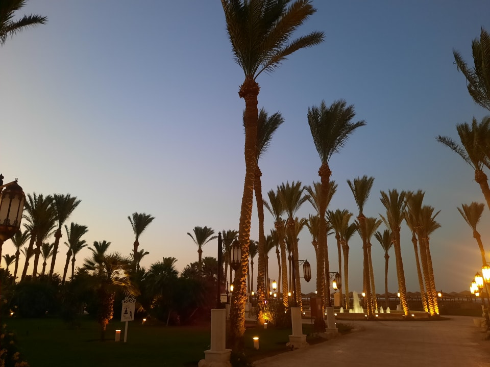 Gartenanlage Makadi Spa - Adults only