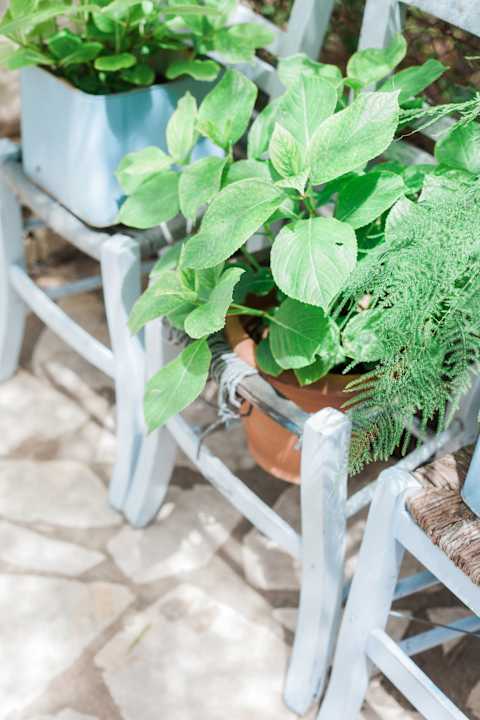 Außenansicht Afroditi Pansion