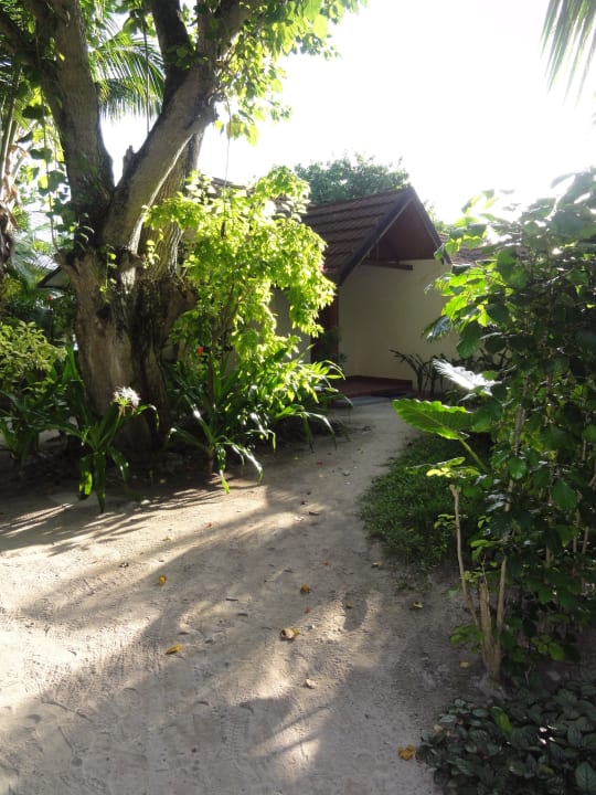 Weg zu unserem Zimmer 331 Kuramathi Maldives