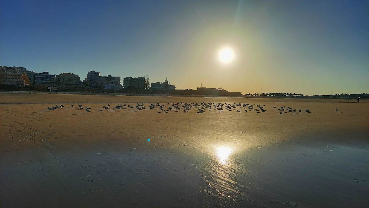 Strand AP Oriental Beach - Adults Friendly