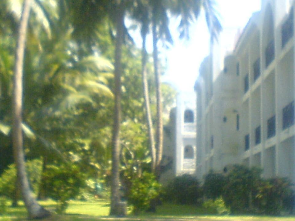 Blick auf Hotelzimmer Diani Sea Resort