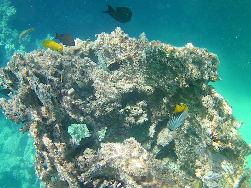 Strand Fantazia Resort Marsa Alam