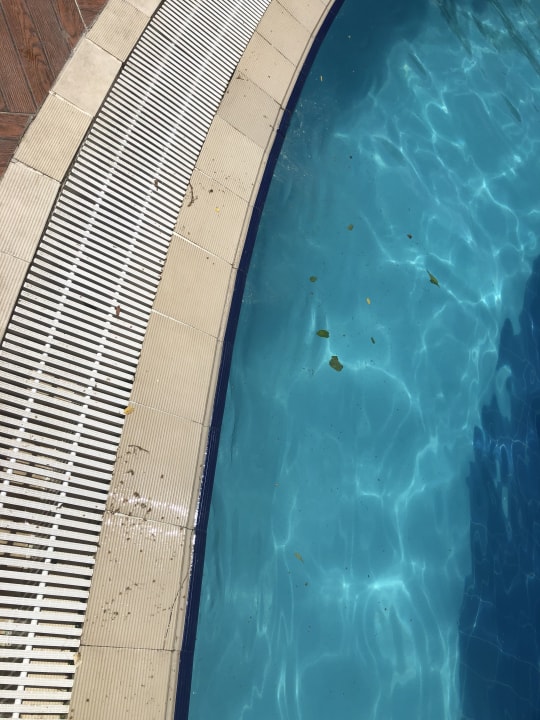 Pool Club Resort Atlantis