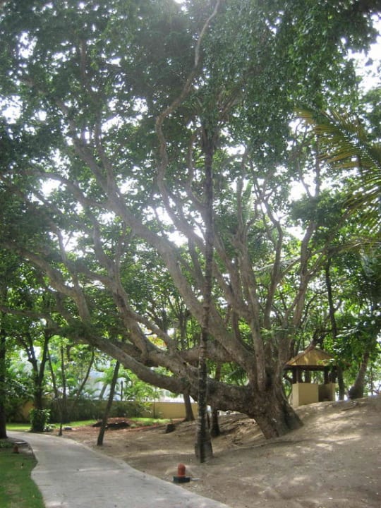 Hotel VH Gran Ventana Beach Resort