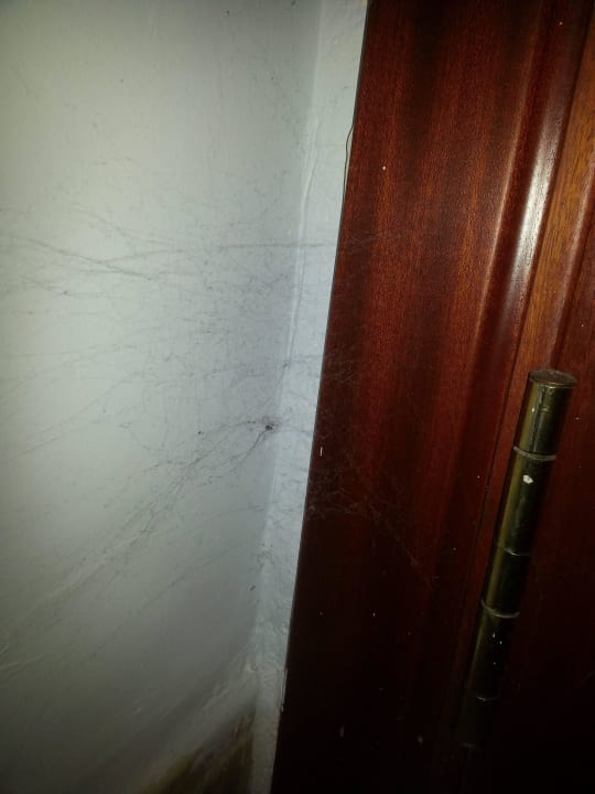 Geht gar nicht sowas Hotel Bahia del Sol