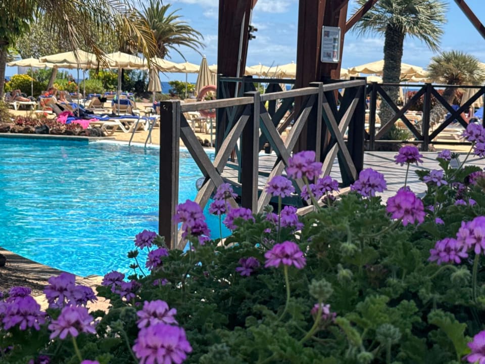 Gartenanlage R2 Pajara Beach