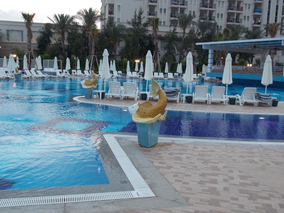 Teil von der Poolanlage Hotel Delphin Imperial