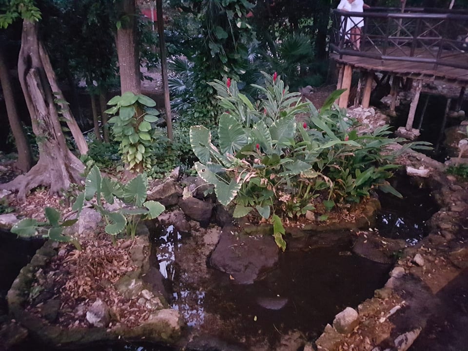 Gartenanlage Iberostar Waves Tucan