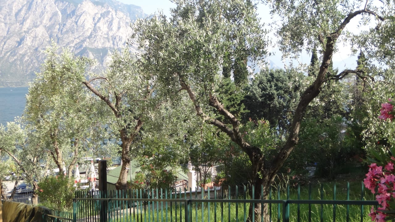 Blick vom Balkon Hotel Sole