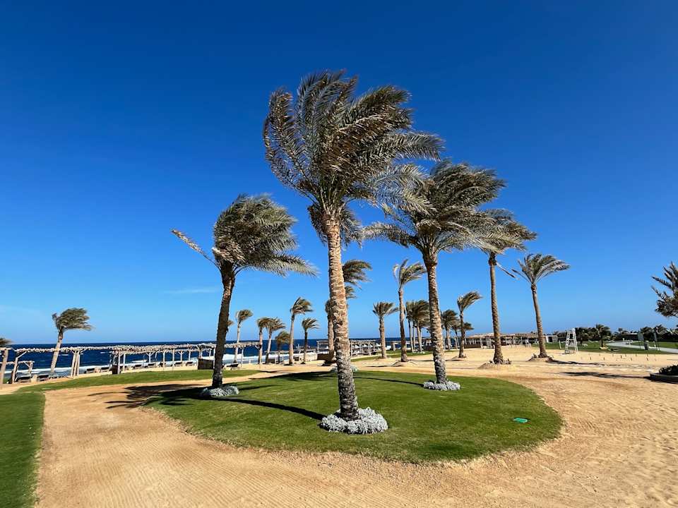 Strand Steigenberger Resort Alaya Marsa Alam - Red Sea - Adults only