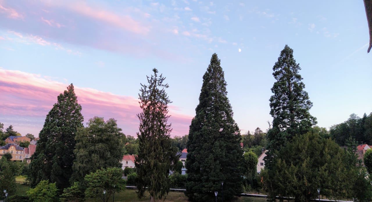Ausblick Hotel Muller