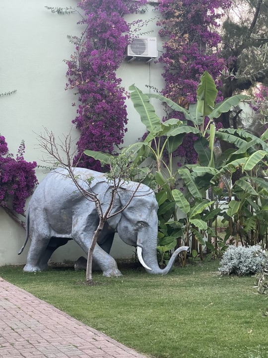 Gartenanlage VONRESORT Golden Beach