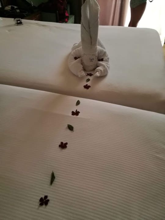 Zimmer Pickalbatros Royal Moderna Resort-Sharm El Sheikh
