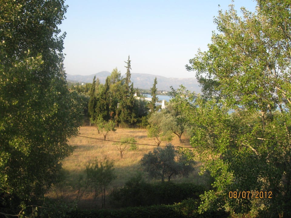 Meerblick Brown Beach Eretria