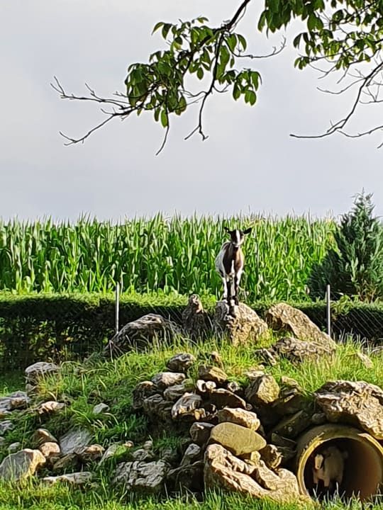 Gartenanlage Bauernhof Tschom