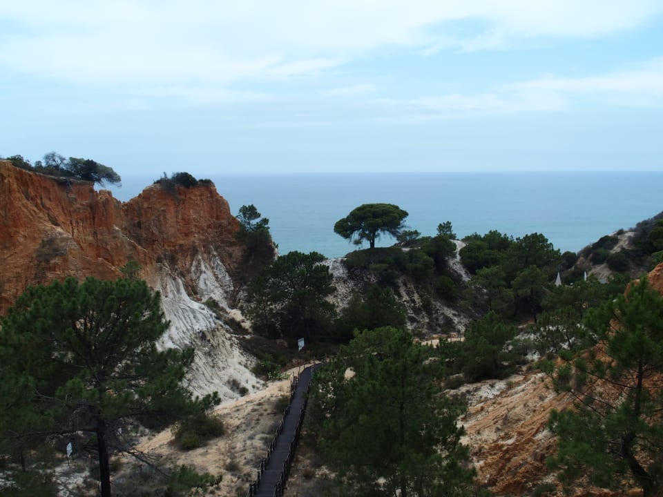 Ausblick Pine Cliffs Hotel, a Luxury Collection Resort