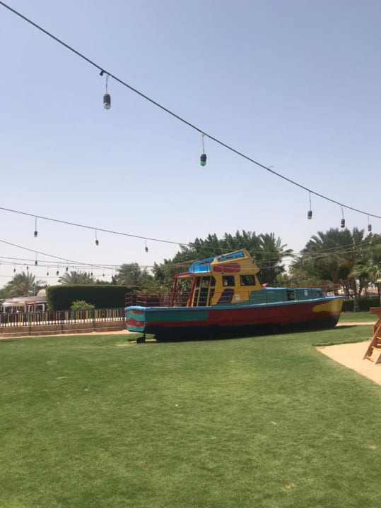 Sport & Freizeit Desert Rose