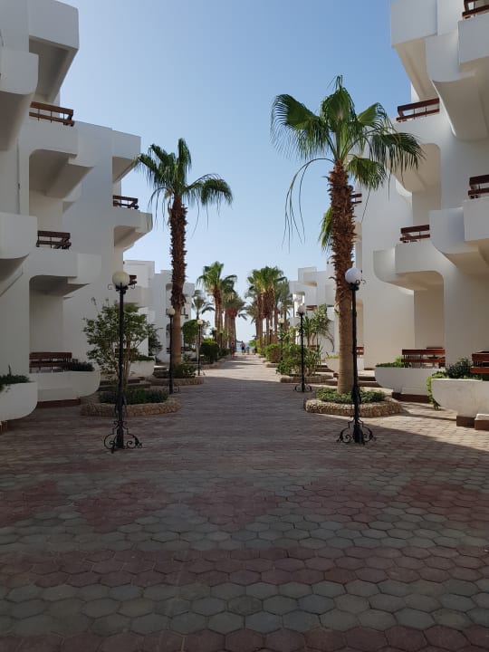 Gartenanlage Marlin Inn Azur Resort