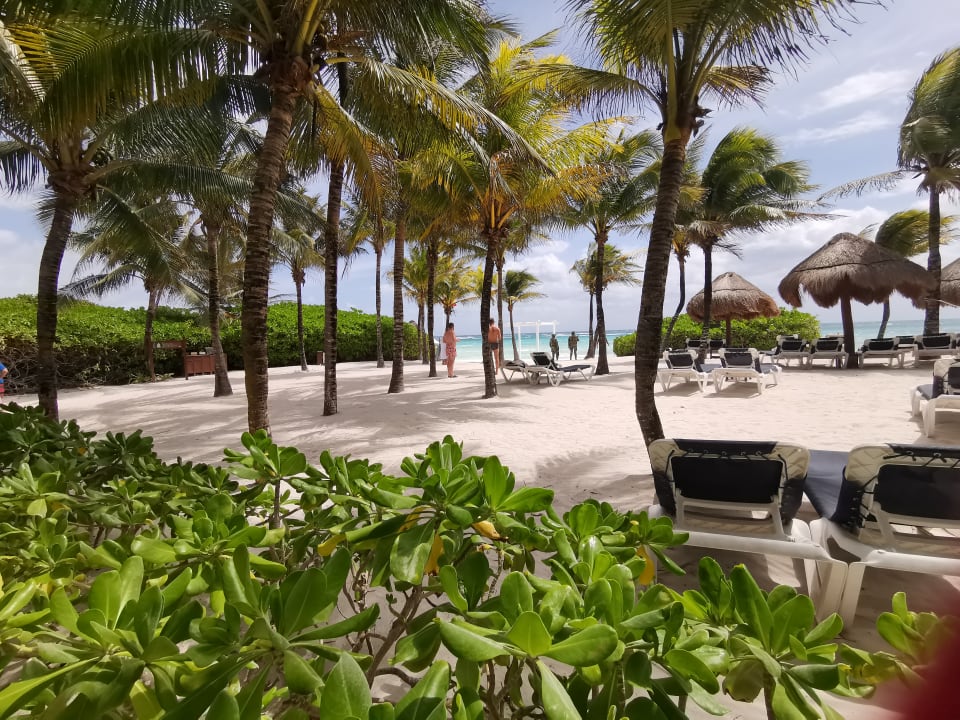 Strand TRS Yucatan Hotel - Adults only