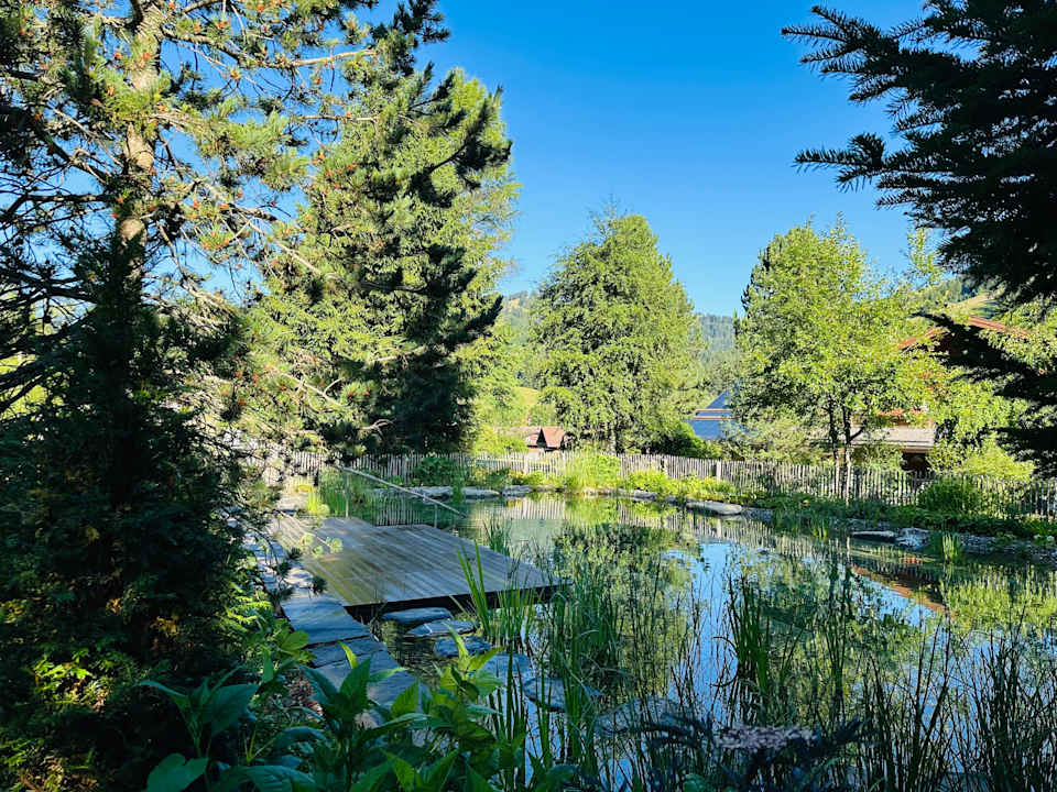 Außenansicht MAISON HORNBERG