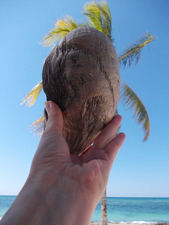 Kokosnuss Brisas Guardalavaca Hotel & Villas