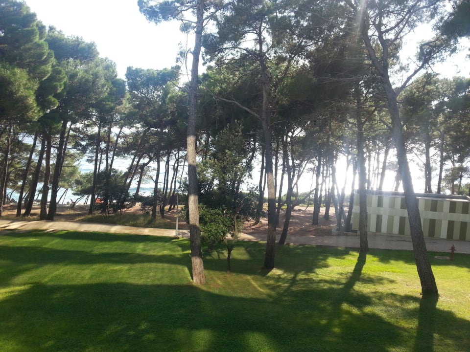 Blick vom Balkon Family Hotel Vespera