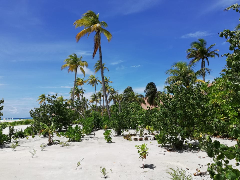 Außenansicht Cinnamon Velifushi Maldives - Free One-Way Speedboat and 02 Kids Under 12 Stay & Dine Free