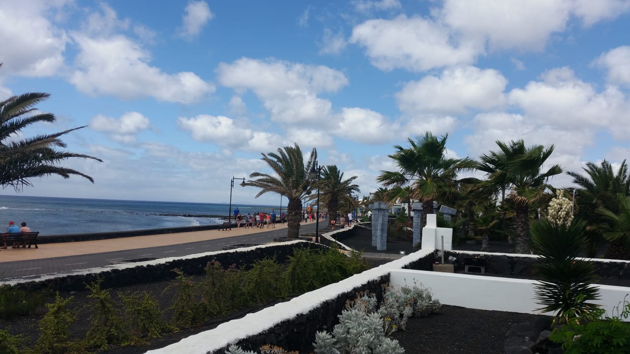 Ausblick Apartamentos LIVVO Las Gaviotas