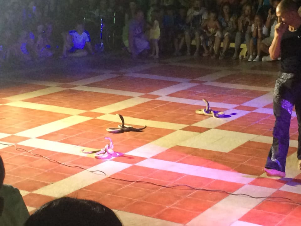 Show Pickalbatros Aqua Park Resort - Hurghada