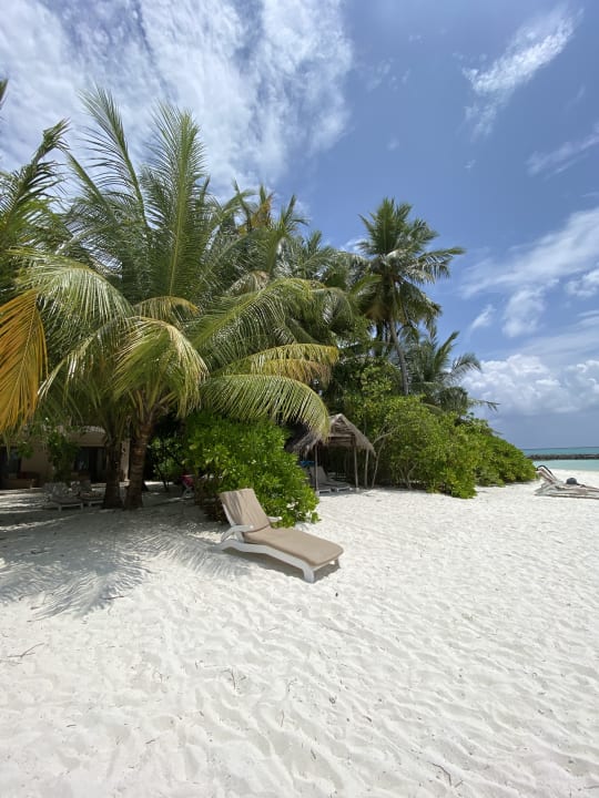 Strand Summer Island Maldives