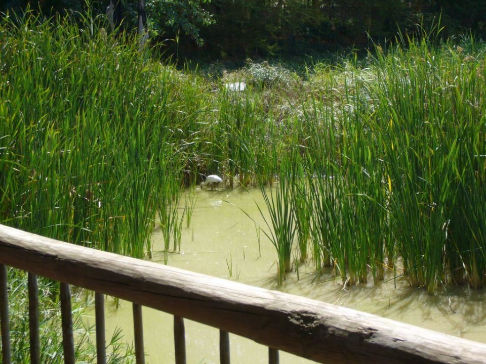 Kleiner Teich Hotel Woodall Country House