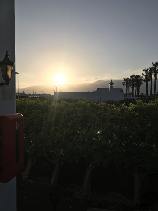 Ausblick Hotel Hyde Park Lane