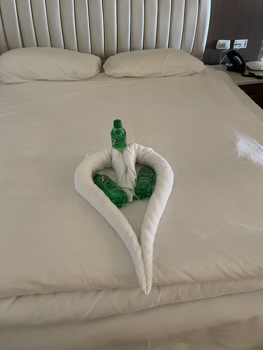 Zimmer Pickalbatros Citadel Resort