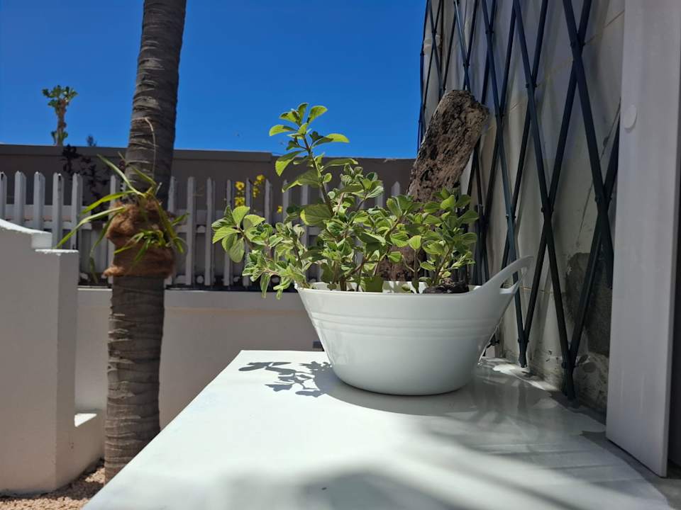 Außenansicht Tia Beach House