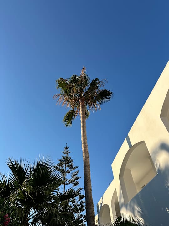 Ausblick HARPIN Happy Days Beach Hotel