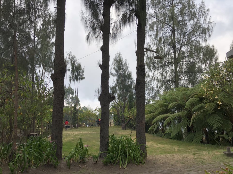 Außenansicht Jiwa Jawa Resort Bromo