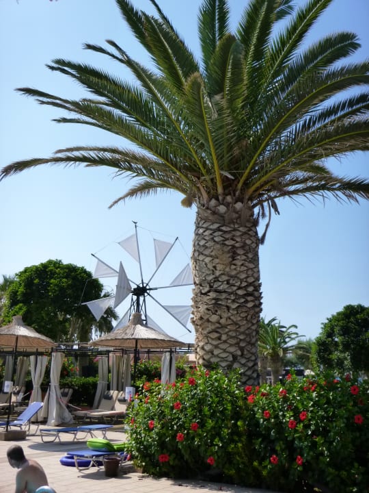 Gartenanlage Anissa Beach & Village