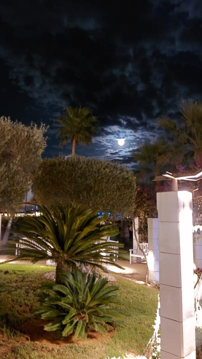 Pool Hotel Cala Millor Garden - Adults only