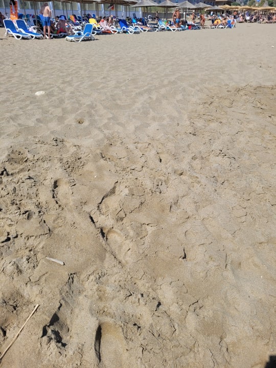 Strand Dessole Dolphin Bay Resort