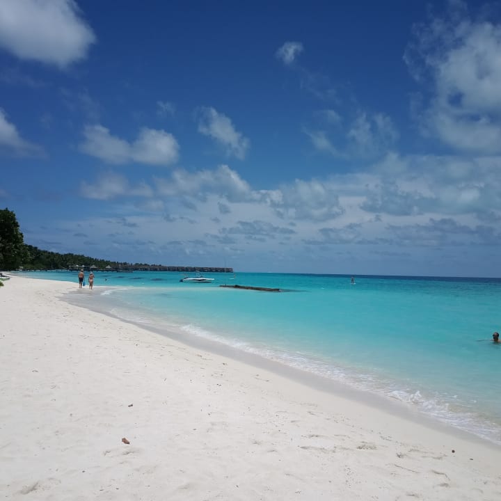 Strand Kuramathi Maldives