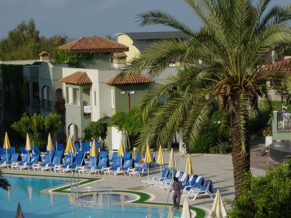 Pool mit Ausenansicht Hotel Gardenia Beach