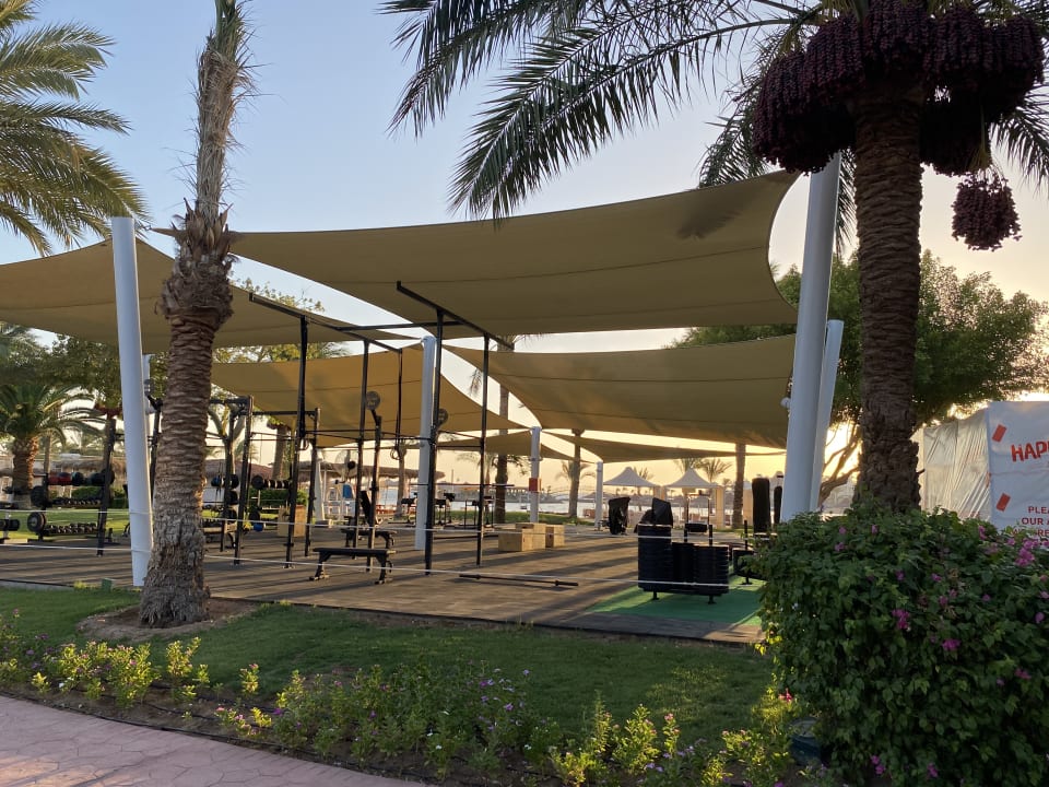 Sport & Freizeit Desert Rose