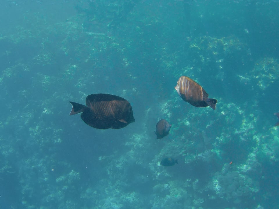 Strand Casa Mare Resort